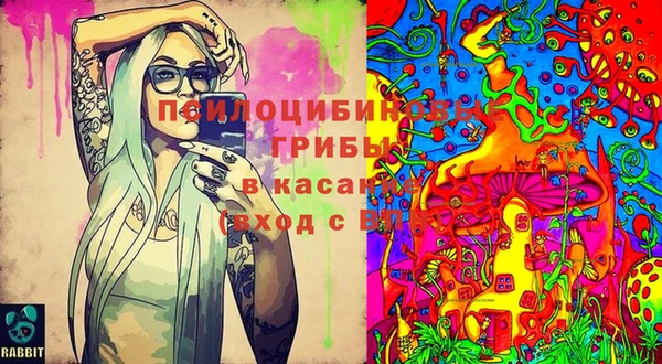 прущие грибы Козловка