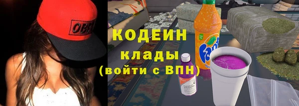 гашик Кодинск