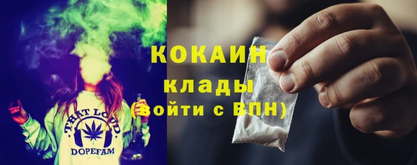 прущие грибы Козловка