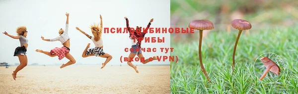 прущие грибы Козловка