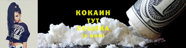 прущие грибы Козловка