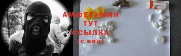прущие грибы Козловка