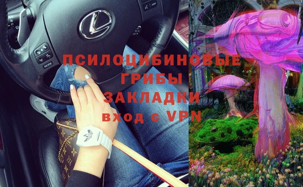 гашик Кодинск
