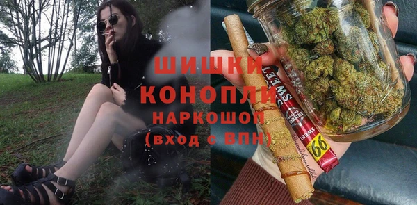прущие грибы Козловка