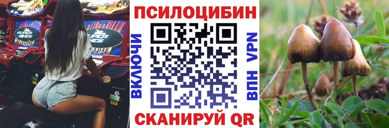 Галлюциногенные грибы GOLDEN TEACHER  Кириши 