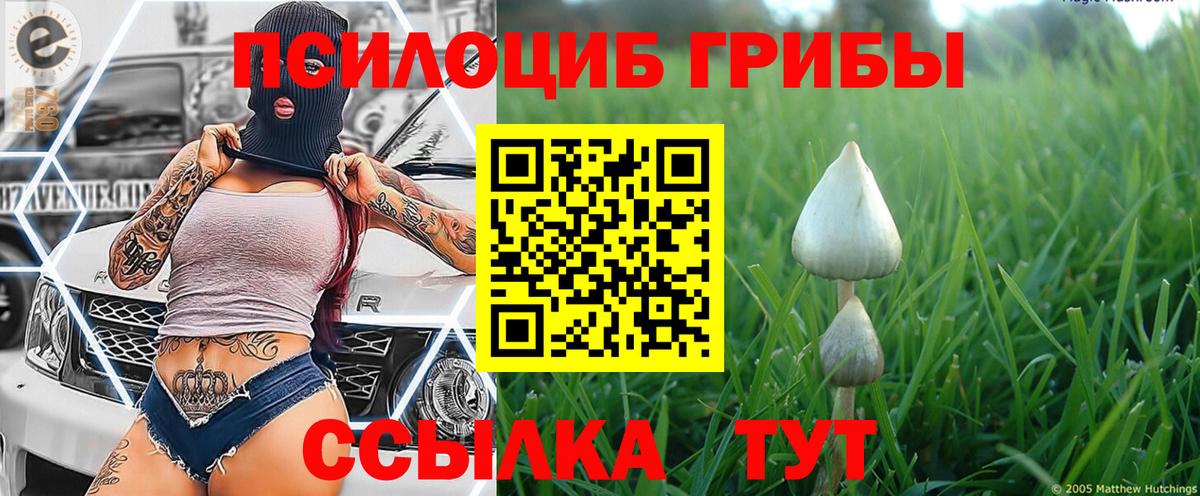 Галлюциногенные грибы ЛСД Кириши